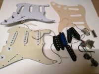 Pickguard und single coil Thüringen - Apolda Vorschau