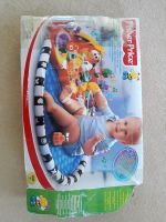 Musik Spielgarten Fisher Price Nordrhein-Westfalen - Swisttal Vorschau