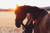 Pferdefotografie, Fotoshooting, Fotograf, Tierfotoshooting Nordrhein-Westfalen - Menden Vorschau