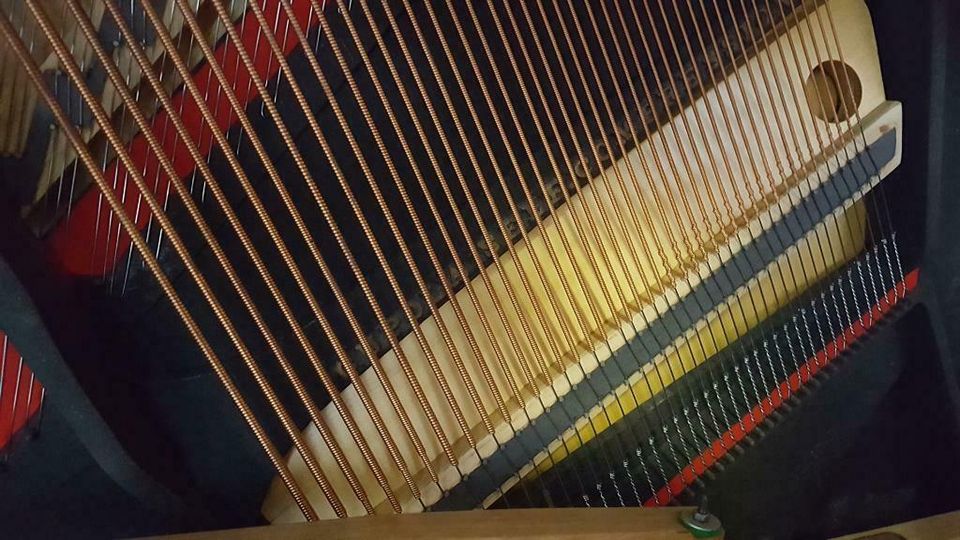 STEINWAY & SONS Klavier Mod. N, schwarz poliert, 137 cm in Tirschenreuth