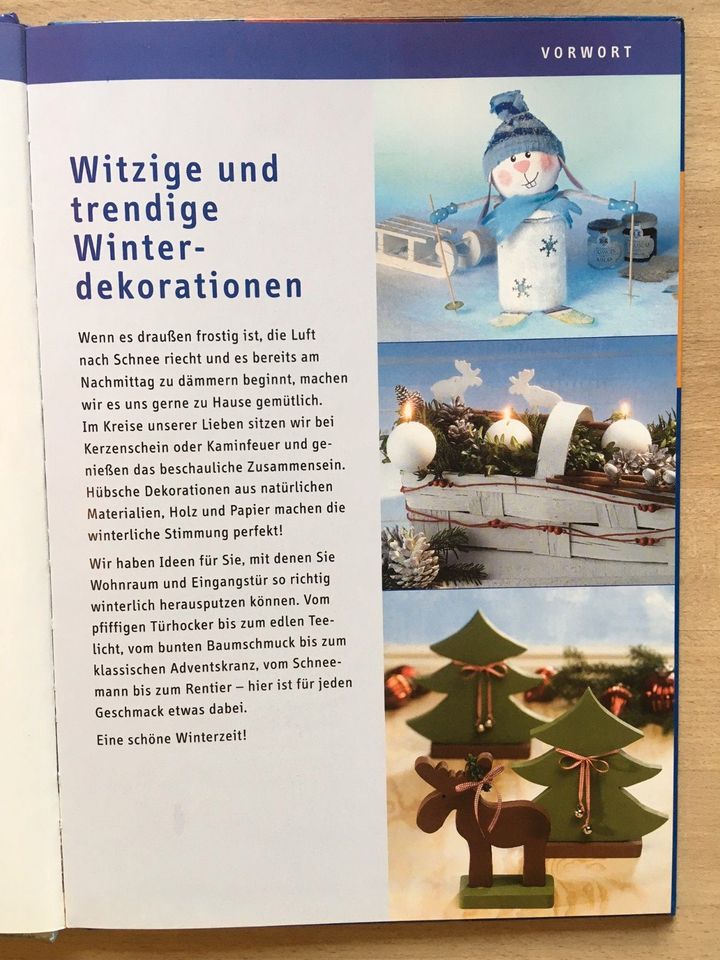 Witzige und trendige Winter-Dekorationen - Bastelbuch - wie neu in Attenkirchen