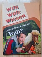 Willi Wills Wissen Burglesum - Lesum Vorschau