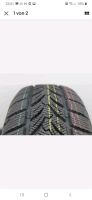 1x PLATIN 195/65 R15 91 T  RP-60 WINTER Winterreifen Autoreifen Nordrhein-Westfalen - Eitorf Vorschau