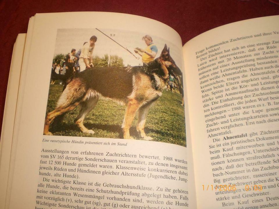 Der deutsche Schäferhund in Heppenheim (Bergstraße)