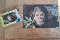 Puzzle Affe Schimpanse 54 Teile Reisespiel Berlin - Lichterfelde Vorschau