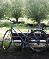 Peugeot Damen Rennrad Fahrrad Retro Vintage München - Ramersdorf-Perlach Vorschau