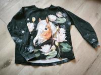 Molo Langarmshirt Pferd Schleswig-Holstein - Süderbrarup Vorschau