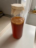 Kombucha Scoby Baden-Württemberg - Mannheim Vorschau