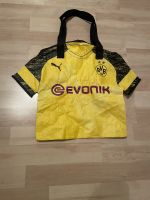 Org. BVB Tasche selten Dortmund - Lütgendortmund Vorschau