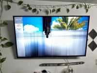 LG Smart TV 65 Zoll Baden-Württemberg - Konstanz Vorschau