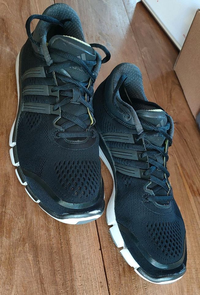 Adidas adipure Fitness Schuh Größe 40 in Osnabrück