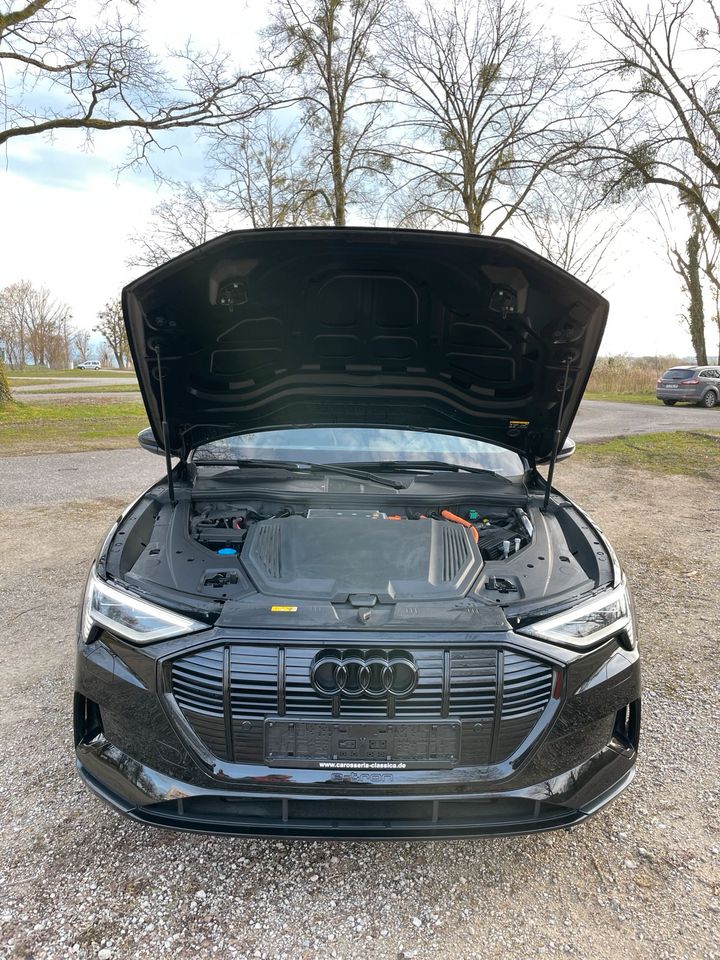 Audi e-tron 50 quattro advanced in Seebruck
