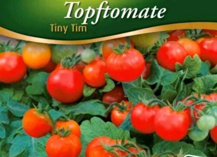 10 Samen Tomaten, Minitomaten, Rispentomaten in Brunsbek