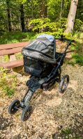 Kinderwagen TFK Joggster Babyjogger Laufwagen Stuttgart - Stuttgart-Süd Vorschau