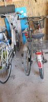 3 Fahrräder Fahrrad  abzugeben Sachsen-Anhalt - Wimmelburg Vorschau