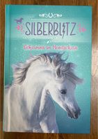 Silberblitz-Geheimnis im Mondschein Pferdebuch Niedersachsen - Nordhorn Vorschau