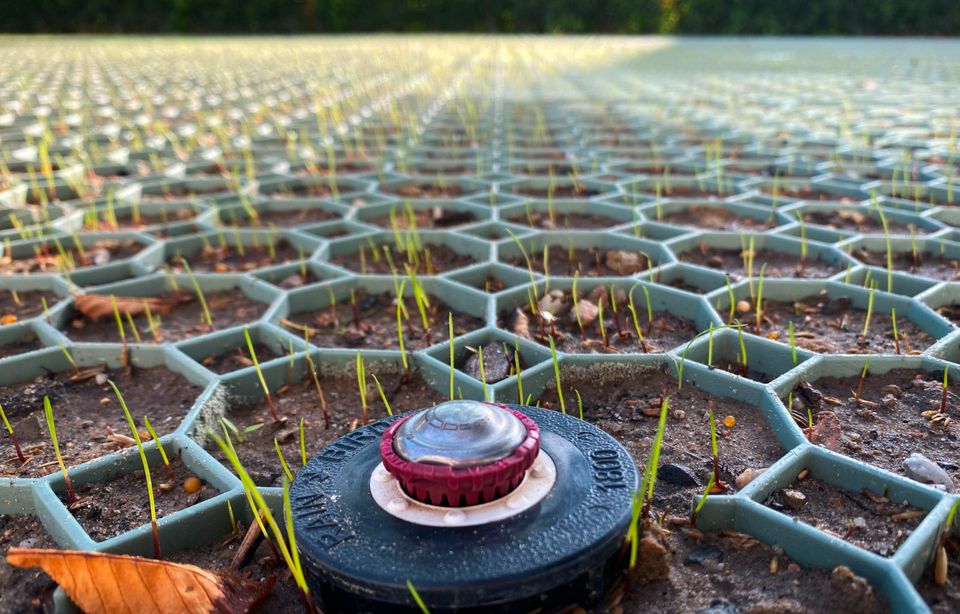 Automatische Gartenbewässerung Bewässerung Beregnungsanlage in Berlin