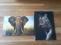 NEU OVP Leinwandbilder Bilder Poster Tiger Elefant 60 × 40 cm Berlin - Köpenick Vorschau