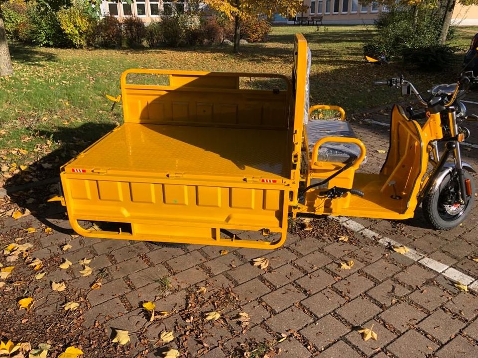 3Rad AMR Elektro Cargo mit Kabine Pritsche Kipper 400 Big Volta TUKTUK APE Lastendreirad TUCK TUCK MEGA CABIN Geco Stormborn Green Speed Lastendreirad TUK TUK Futura Runner Elektrofrosch Frosch 3 Rad in Waren (Müritz)