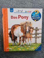 Wieso Weshalb Warum: Das Pony Baden-Württemberg - Ostfildern Vorschau