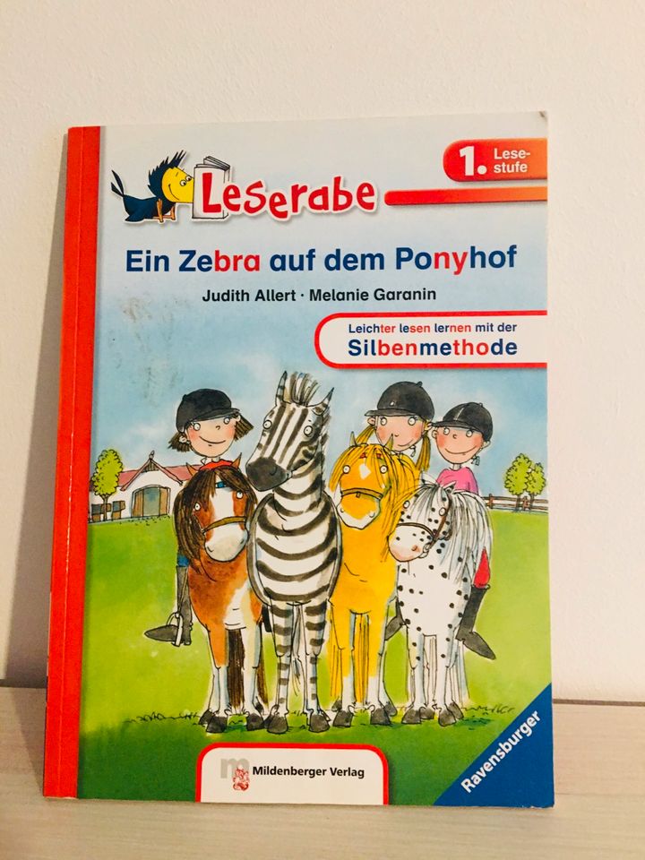 Ponyhof Buch Erstleser in Neuburg am Rhein