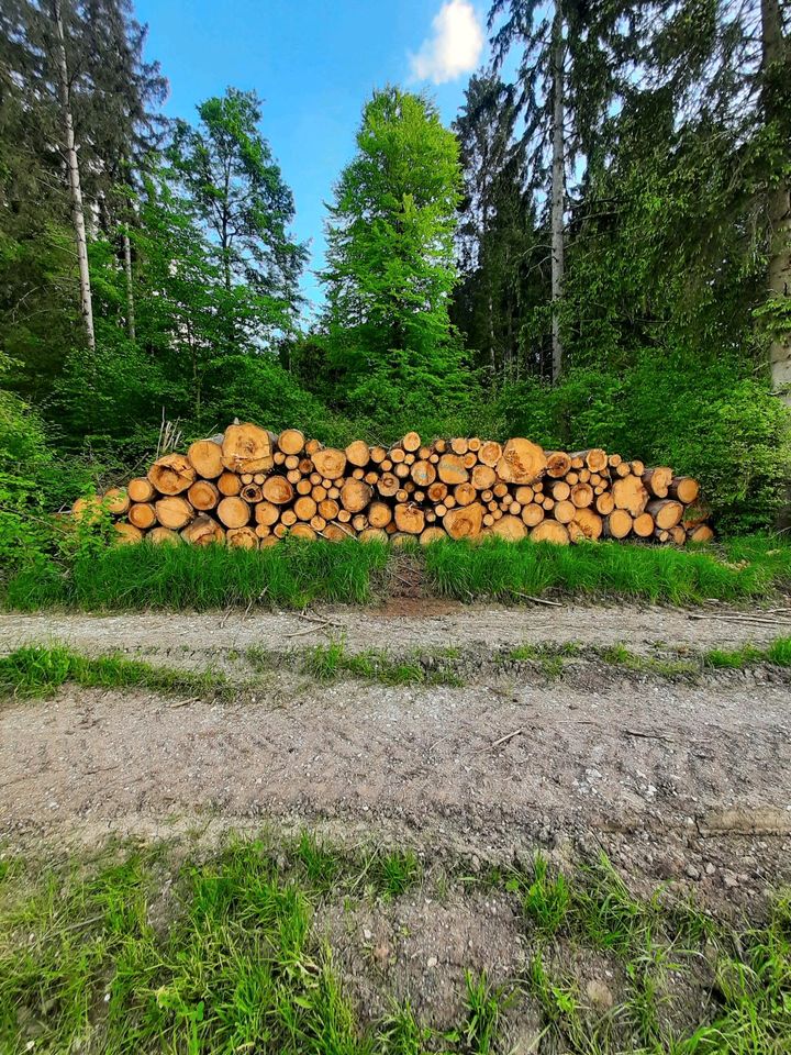 Brennholz Fichte und Kiefer in Lauterhofen