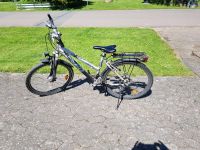 Fahrrad Rixe 26" Nordrhein-Westfalen - Minden Vorschau