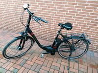 Kalkhoff Damen E-Bike gebraucht Nordrhein-Westfalen - Recke Vorschau