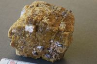 Mineraliensammlung: Grossular Granat Vesuvian Mexiko Nürnberg (Mittelfr) - Nordstadt Vorschau