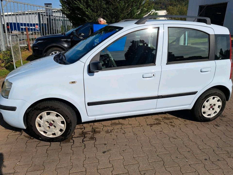 Fiat Panda mit Klima und Rückfahrkamera Top Zustand in Hagen