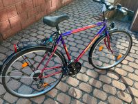 28" Herrenfahrrad Invasion Hessen - Waldsolms Vorschau