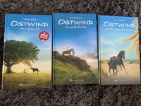 Ostwind Bücher gebunden Baden-Württemberg - Isny im Allgäu Vorschau