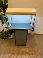 60 Liter Aquarium Rheinland-Pfalz - Prüm Vorschau