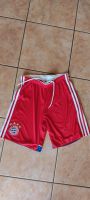 Adidas FC Bayern München Kurze Hose Climatex,gr.158( S), Neu Baden-Württemberg - Oberrot Vorschau