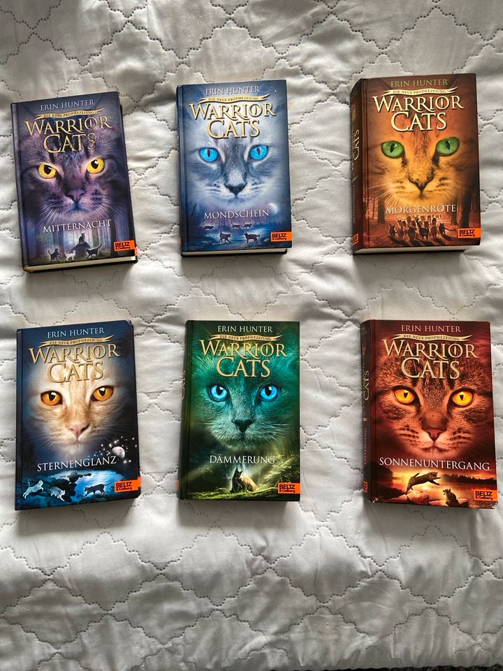 Warrior Cats Staffel 2 Buch 1-6 in Erfurt