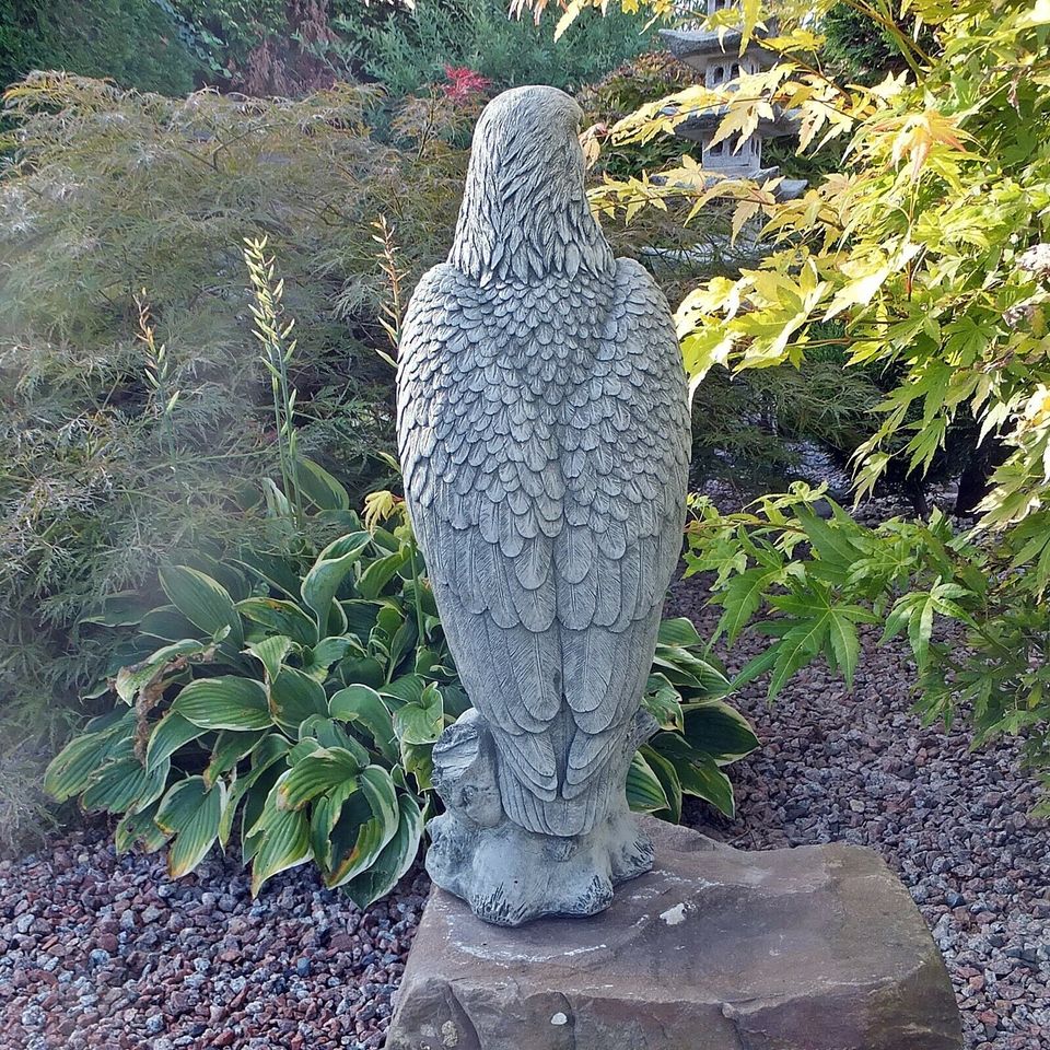 Steinfigur Adler Greifvogel Raubvogel Außenbereich Garten Dekorat in Korschenbroich