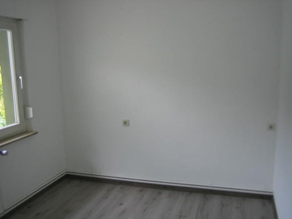 Wohnung 120 m², ruhige Lage, hell, stadtnah, Detmold. in Detmold