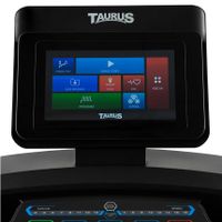 Taurus 9.9 Touch Display Konsole Ersatz für Laufband gesucht Schleswig-Holstein - Schülp bei Rendsburg Vorschau