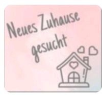 Suche in Uersfeld       Wohnung ca 50qm Rheinland-Pfalz - Uersfeld Vorschau