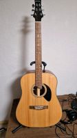 Riversong P-551 D Westerngitarre dreadnought Acoustic Giatrre Sachsen - Adorf-Vogtland Vorschau