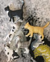 6 Schleich Katzen Dresden - Neustadt Vorschau