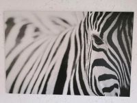 Zebrabild von Ikea Nordrhein-Westfalen - Lienen Vorschau