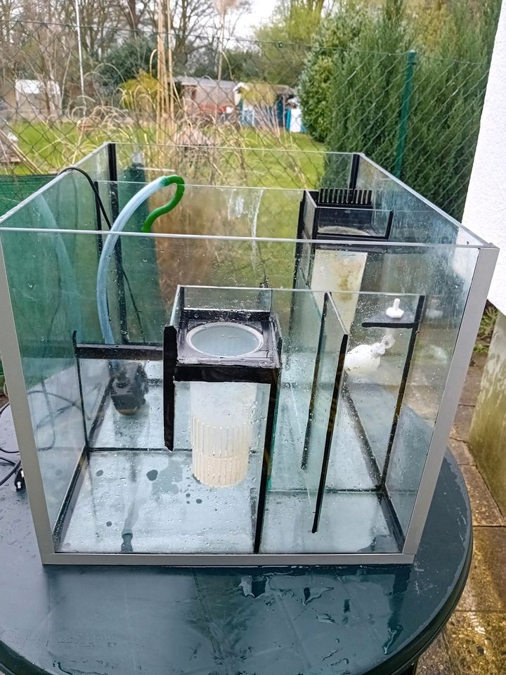 Filterbecken vom Meerwasseraquarium mit Technik in Gelsenkirchen