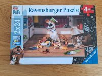 Ravensburger Puzzle Pets Nordrhein-Westfalen - Ennepetal Vorschau