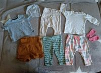 Baby Set Gr.50/56 Newborn Mütze Hose Shirt T-Shirt h&m Hema bo Thüringen - Bad Köstritz   Vorschau