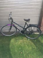 Fahrrad 28“ Sportfahrrad Shimano Gangschaltung Gröpelingen - Oslebshausen Vorschau