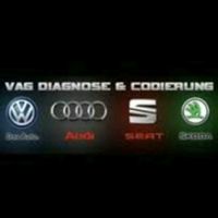 VW Audi Seat Skoda Bentley Diagnose Codierung Fehler löschen etc Sachsen-Anhalt - Schönebeck (Elbe) Vorschau