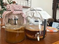 Bio Kombucha Pilz Teepilz Scoby inkl. Ansatzflüssigkeit Neuhausen-Nymphenburg - Neuhausen Vorschau