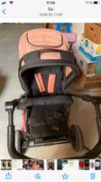 Kinderwagen Brandenburg - Dahme/Mark Vorschau