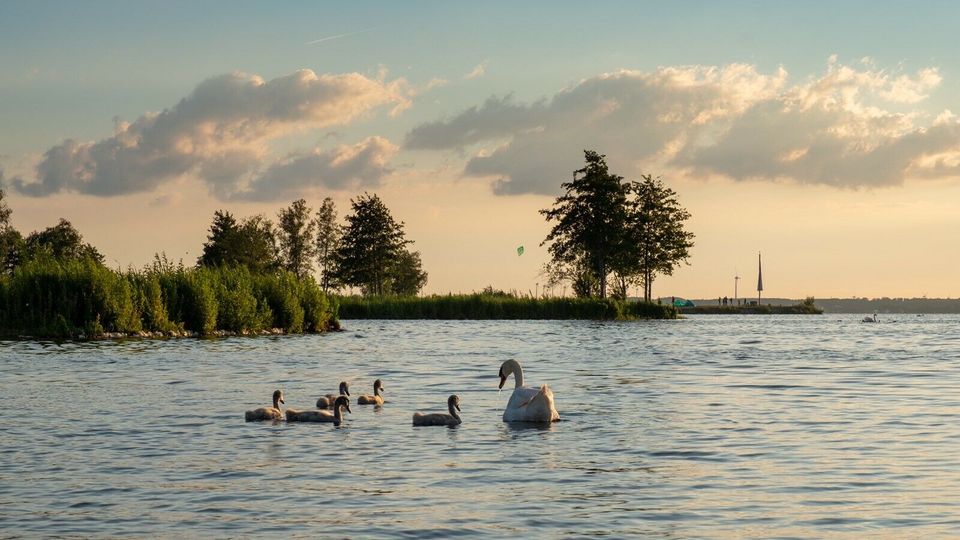 ❤️ SOMMERFERIEN Strandhaus Ferienhaus Holland Hund Meer Boot ⭐⭐⭐⭐⭐ in Brakel